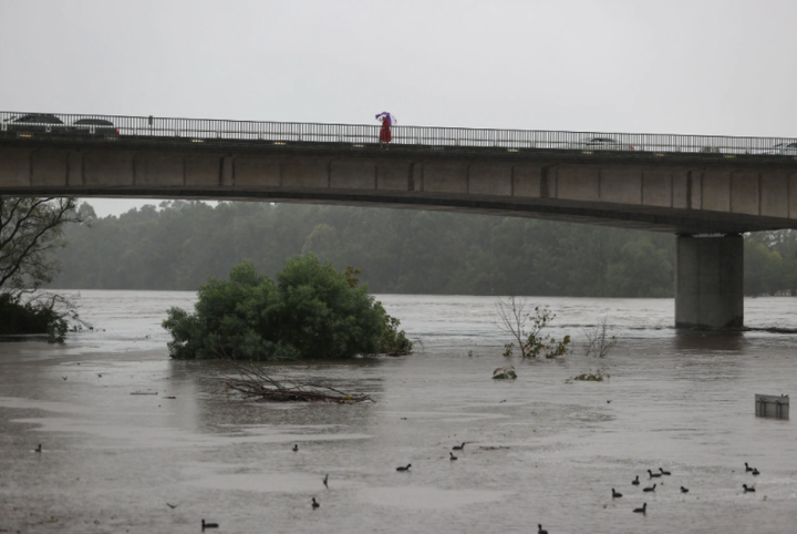 Ảnh, video: Lũ lụt kinh hoàng tại Australia, cả ngôi nhà bị cuốn trôi - 6