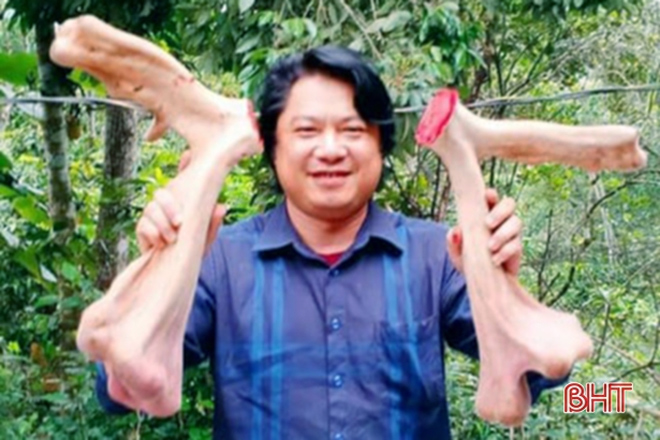 Cặp nhung hươu lớn chưa từng có ở Hà Tĩnh - 3