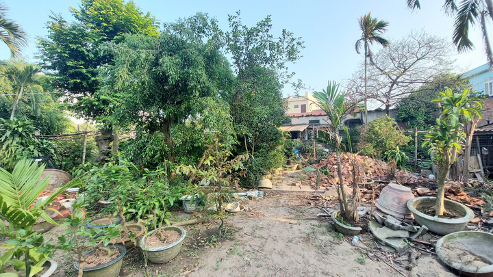 Đền 1m2 đất bằng cân cá nục: Hoãn phiên phúc thẩm vì bị đơn vắng mặt - 2