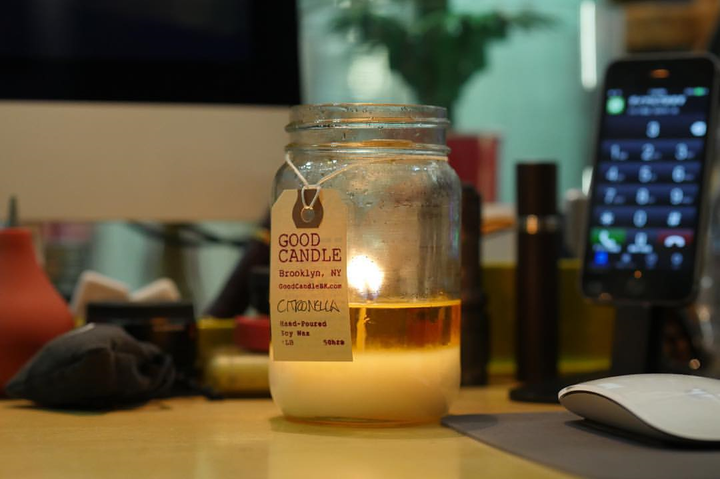 10 mẹo vặt giúp muỗi tránh xa bạn và nhà bạn - 2