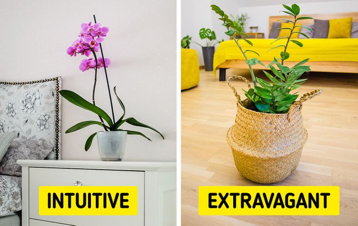 Trắc nghiệm vui đoán tính cách: Có gì trong phòng ngủ của bạn? - 6