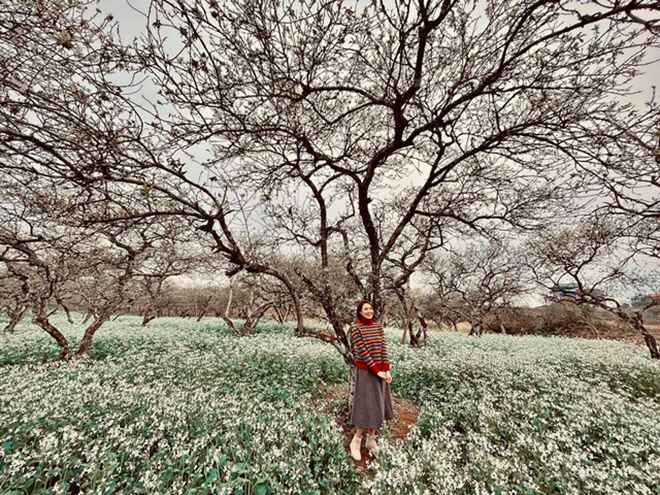 Loạt ảnh tiết lộ mối tình Châu và Phúc trong 'Hướng dương ngược nắng' - 9