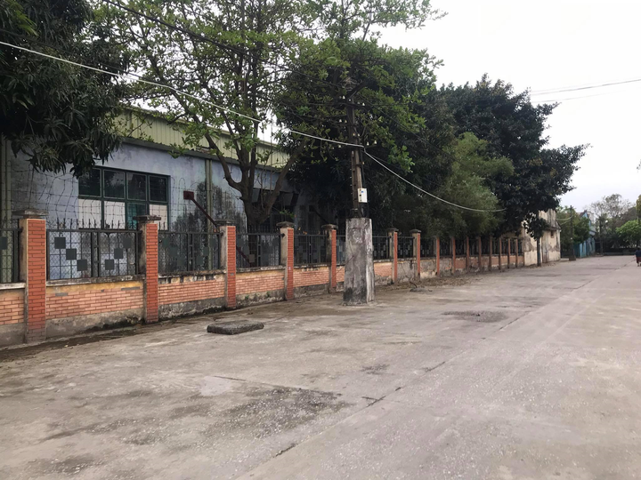 Ảnh: Cận cảnh những khu đất vàng bỏ hoang gây lãng phí của Tổng Công ty Xi măng - 8