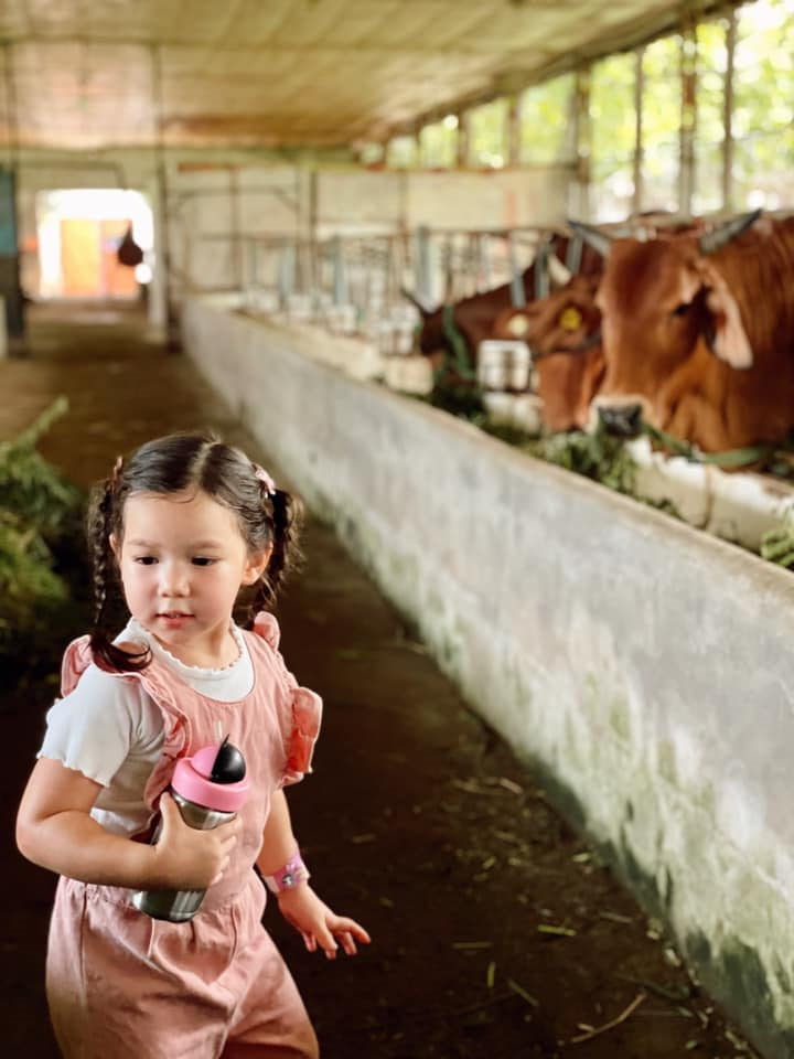 Con gái hơn 2 tuổi, thông thạo 2 ngôn ngữ của siêu mẫu Hà Anh - 9