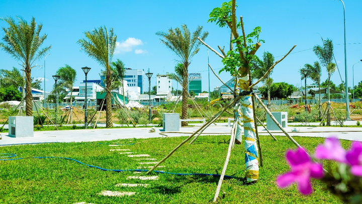 TNR Amaluna: Đẩy mạnh tiến độ thi công phố thương mại - 2