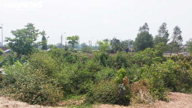 Ảnh: Cận cảnh dự án 1.500 tỷ đồng chậm tiến độ đang bị thanh tra - 8