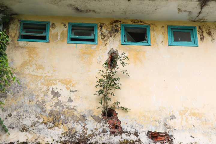 Ngôi trường 25 phòng học nhưng chỉ 46 học sinh - 8