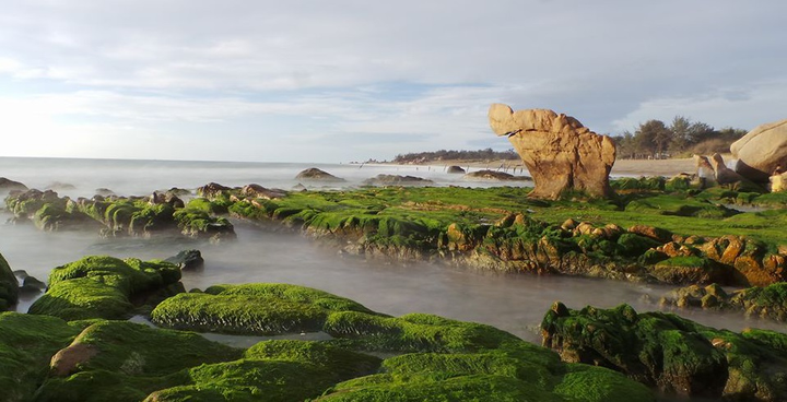 Đôi bạn thân cùng đi qua 63 tỉnh, chụp 1.000 ảnh và câu chuyện đầy cảm hứng - 8