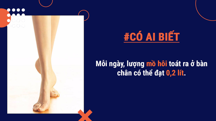 Bạn có biết: Lượng mồ hôi tiết ra ở bàn chân mỗi ngày có thể lên tới 0,2 lít - 3