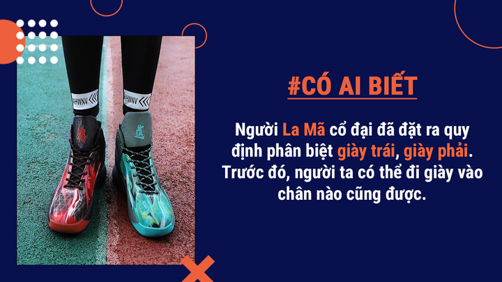 Bạn có biết: Lượng mồ hôi tiết ra ở bàn chân mỗi ngày có thể lên tới 0,2 lít - 4