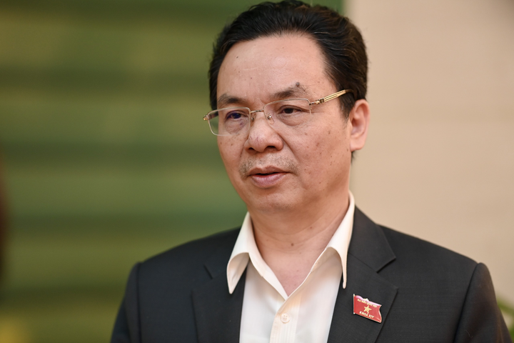 Đại biểu Quốc hội: 'Đánh thuế thật mạnh để kiểm soát sốt đất' - 2