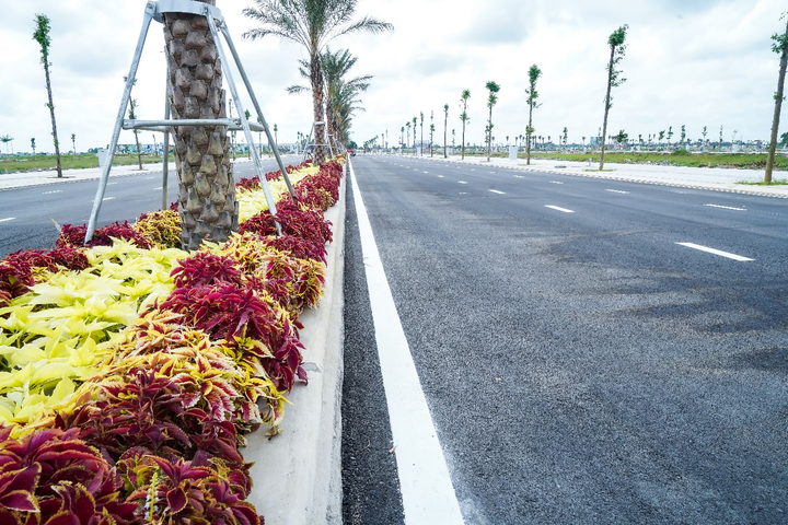 Cơ hội đầu tư thông minh đất thành phố trẻ tại vùng đất Chín Rồng - 2