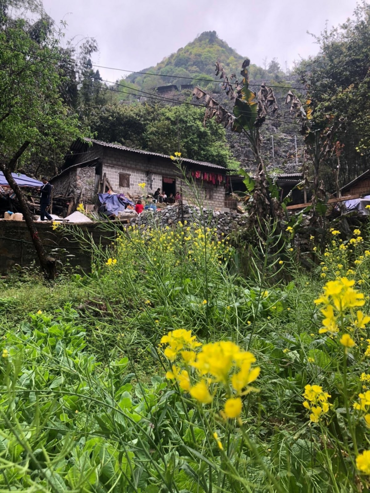 Mái ấm trên cao nguyên đá Hà Giang - 6