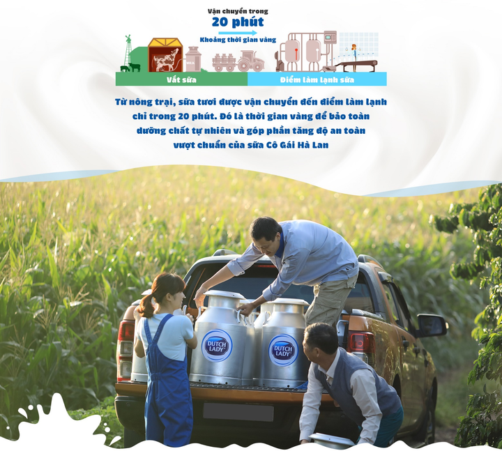 Sữa Cô Gái Hà Lan đã giải bài toán dinh dưỡng an toàn thế nào? - 4