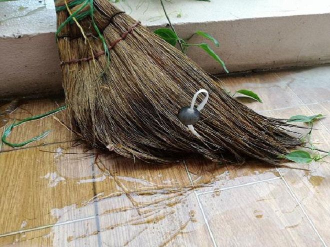 Hậu quả của pha ở bẩn đến không tin được: Nấm mọc thành chùm, cây cỏ nảy mầm - 9