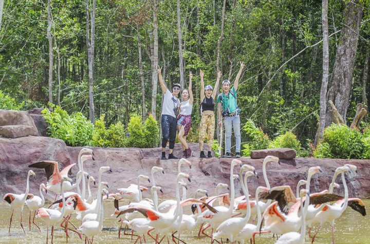 Ngây ngất với triệu điểm check-in sống ảo mới tại Bắc đảo Ngọc - 15