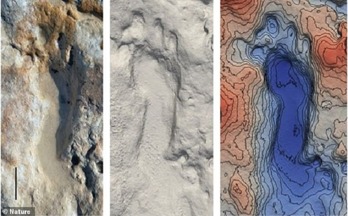 Đi bộ trên bãi biển, chạm trán đứa trẻ 100.000 tuổi nhảy múa trên cát - 1