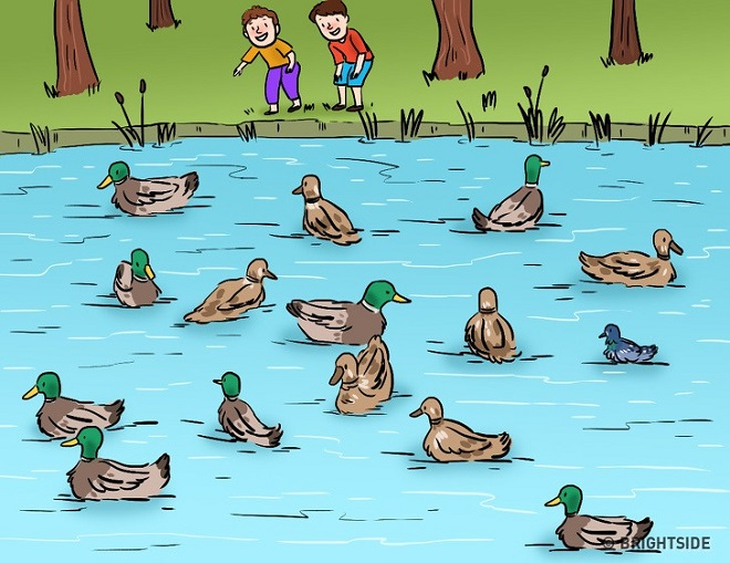 5 bức ảnh với 5 điểm vô lý phải tinh mắt lắm mới thấy, bạn tìm ra không? - 3