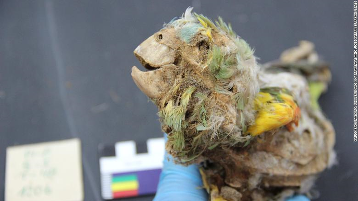 Xác ướp 'há miệng, thè lưỡi' tại sa mạc khô hạn nhất thế giới - 1