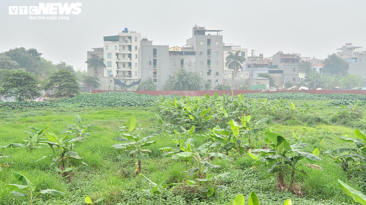 Cận cảnh 6 dự án bất động sản bị Chủ tịch tỉnh Bắc Ninh yêu cầu kiểm tra - 11