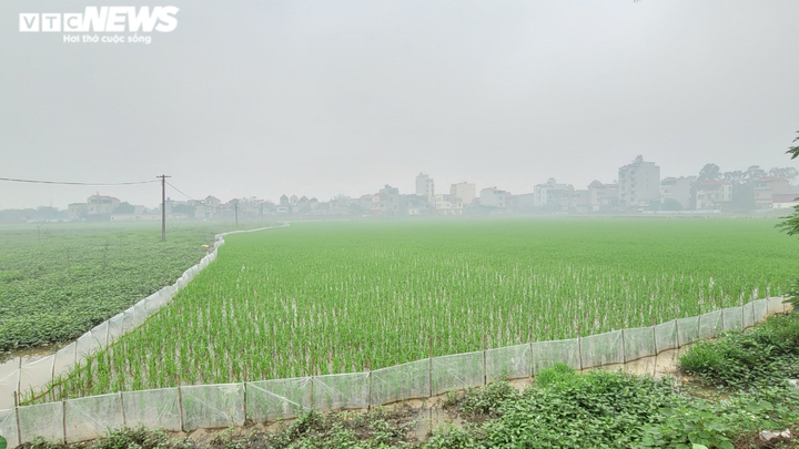 Cận cảnh 6 dự án bất động sản bị Chủ tịch tỉnh Bắc Ninh yêu cầu kiểm tra - 5