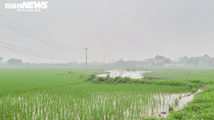 Cận cảnh 6 dự án bất động sản bị Chủ tịch tỉnh Bắc Ninh yêu cầu kiểm tra - 6