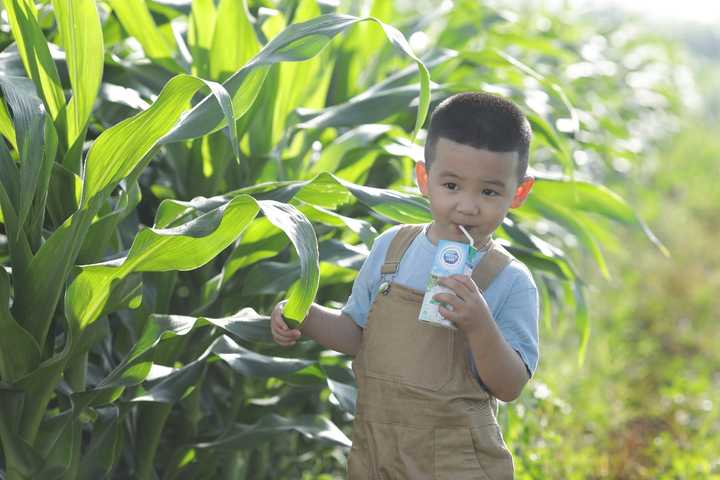Cô Gái Hà Lan 'mách' mẹ lợi ích bất ngờ nhờ uống sữa tươi trong bữa sáng cho bé - 2
