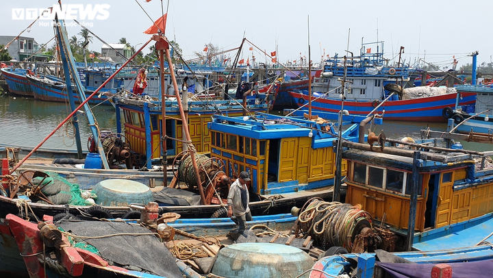 Bị tàu Trung Quốc xua đuổi, cướp bóc, ngư dân vẫn can trường bám đảo Hoàng Sa - 4