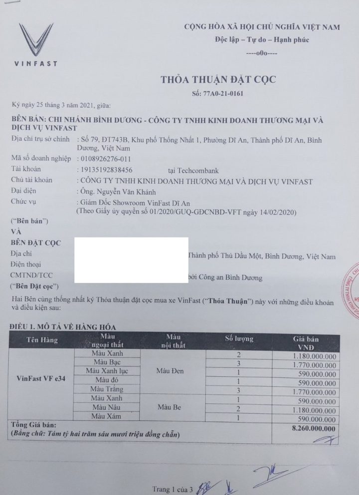 Ai đặt mua 14 chiếc ôtô điện VinFast VF e34? - 2
