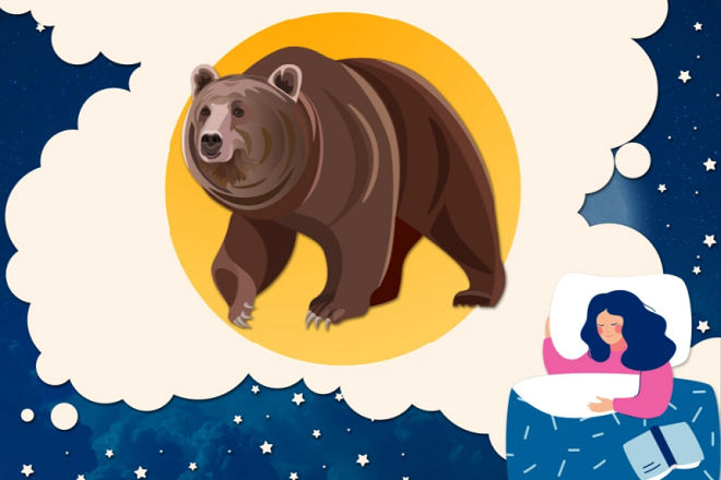 Ngoài ‘chim sớm’ và ‘cú đêm’, con người thật ra có tới 4 kiểu đồng hồ sinh học - 2