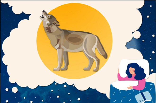 Ngoài ‘chim sớm’ và ‘cú đêm’, con người thật ra có tới 4 kiểu đồng hồ sinh học - 3