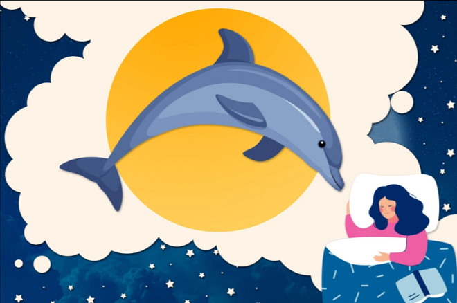 Ngoài ‘chim sớm’ và ‘cú đêm’, con người thật ra có tới 4 kiểu đồng hồ sinh học - 5