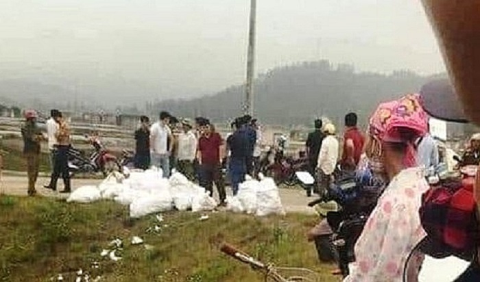 Bắt giữ hơn 2 tạ ma túy ở Nghệ An - 1