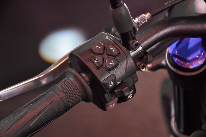 Chi tiết Triumph Trident 660 giá 270 triệu đồng tại Việt Nam - 9