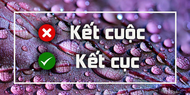 Điểm danh 8 lỗi chính tả dễ mắc phải, 'tựu chung' hay 'tựu trung'? - 4