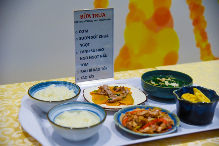 Tập huấn phần mềm thực đơn dinh dưỡng cho mẹ bầu, mẹ cho con bú tại Hà Nội - 4