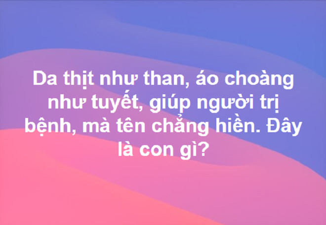 'Da thịt như than, áo choàng như tuyết': Là con gì? - 1
