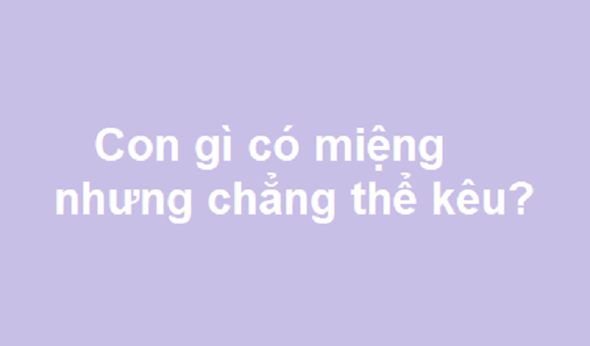 'Da thịt như than, áo choàng như tuyết': Là con gì? - 3