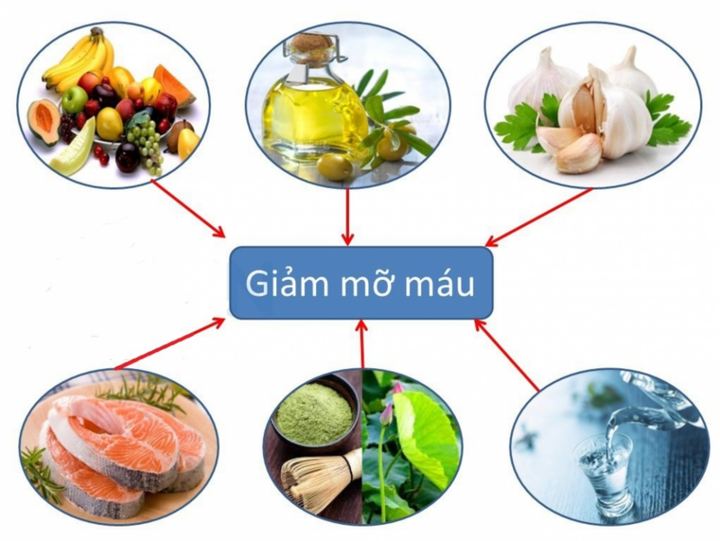 Lipitrix - Hỗ trợ điều trị mỡ máu, huyết áp, phòng tim mạch đột quỵ - 1
