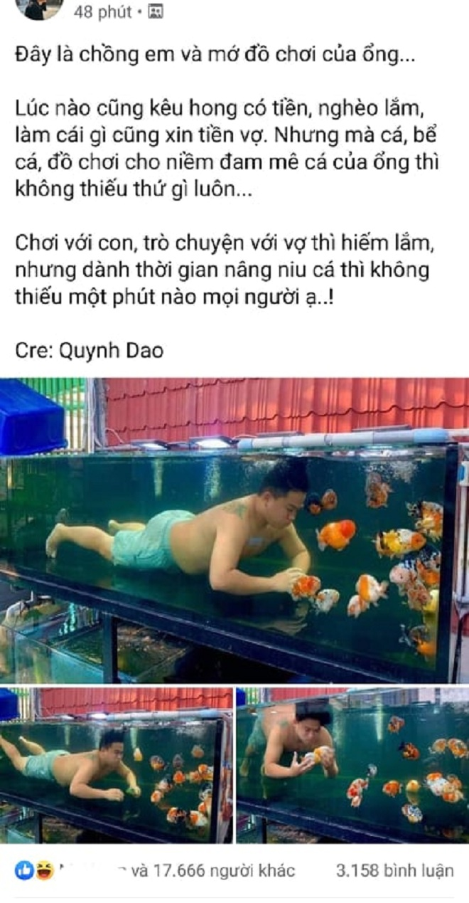 Các màn tố chồng mê mèo, cá hơn vợ khiến dân mạng cười chảy nước mắt - 1