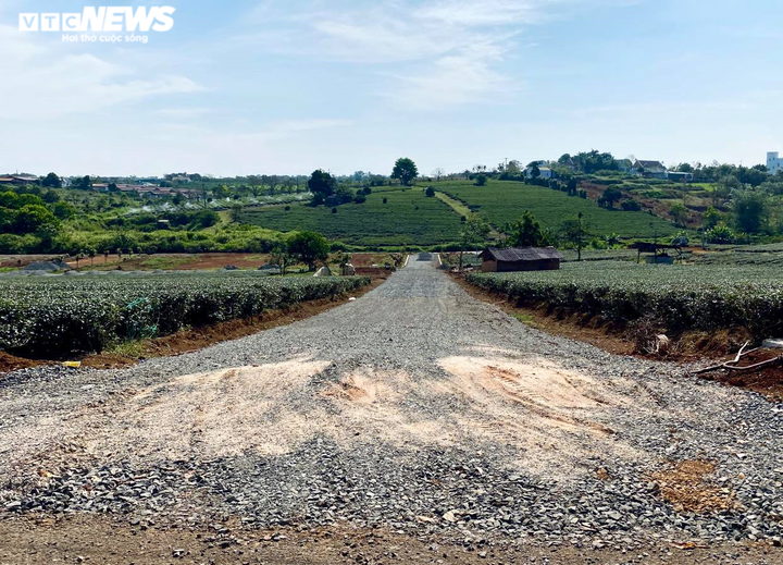 Lâm Đồng: Chặn 'chiêu bài' hiến đất mở đường để phân lô bán nền - 2