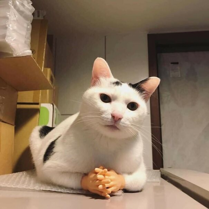 Loạt ảnh ngộ nghĩnh về động vật khiến bạn phì cười - 16