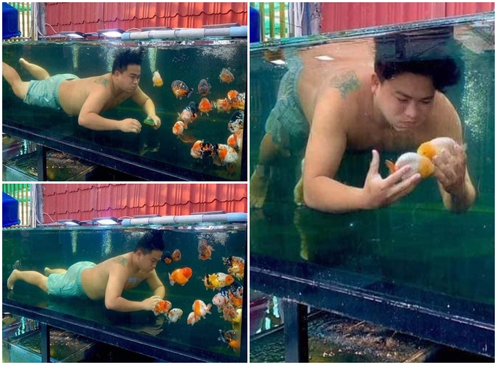 Các màn tố chồng mê mèo, cá hơn vợ khiến dân mạng cười chảy nước mắt - 2