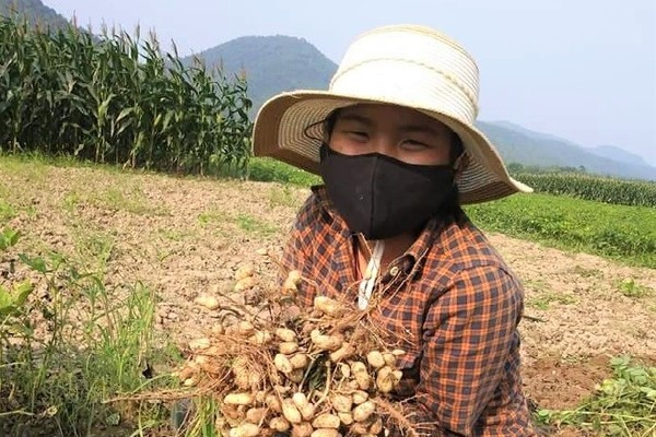 Nữ sinh Nghệ An giành thủ khoa kép khi thi học sinh giỏi tỉnh - 2