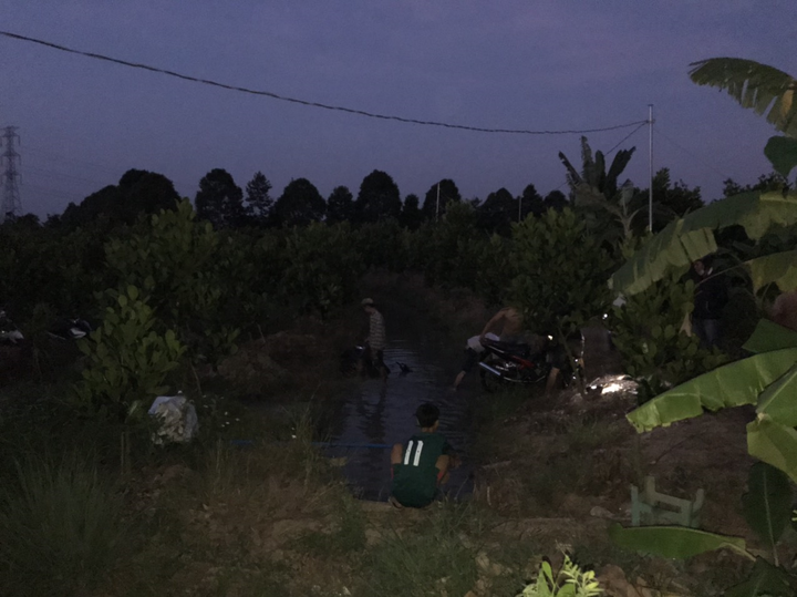 Gặp CSGT, cả băng 'quái xế' lao xe vào vườn, phi xuống kênh bỏ trốn - 4