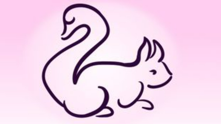 Trắc nghiệm vui đoán tính cách: Bạn thấy con sóc hay thiên nga? - 1