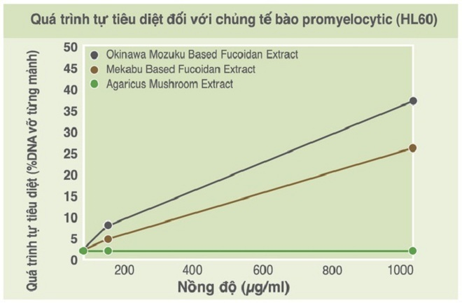 Lợi ích bất ngờ từ tảo nâu Okinawa Mozuku với sức khỏe - 2