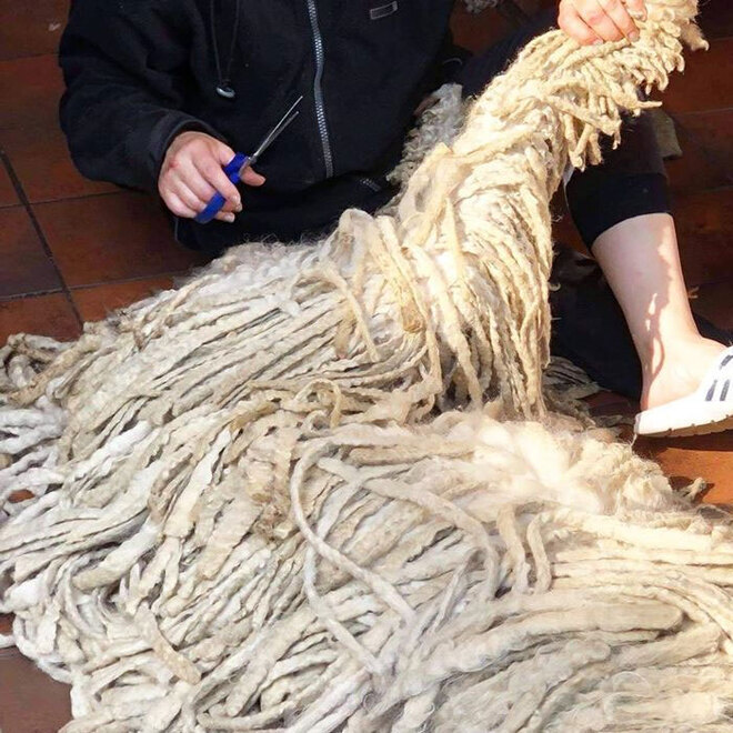 Sở hữu bộ lông y hệt giẻ lau nhà, chú chó bỗng nổi tiếng rần rần trên mạng - 8