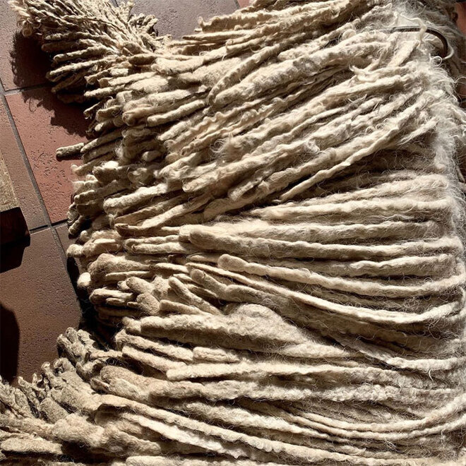 Sở hữu bộ lông y hệt giẻ lau nhà, chú chó bỗng nổi tiếng rần rần trên mạng - 9