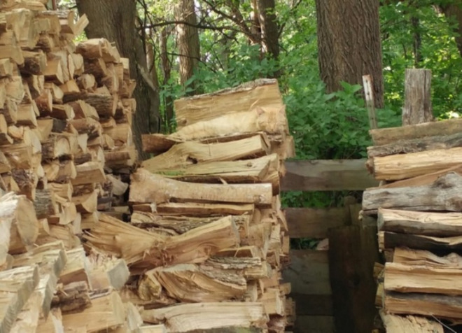 Hơn 90% người không nhìn ra 'thánh ngụy trang' trốn trong ảnh, bạn thì sao? - 4